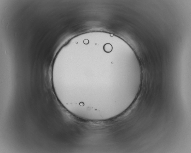 X0000116141198200911231305