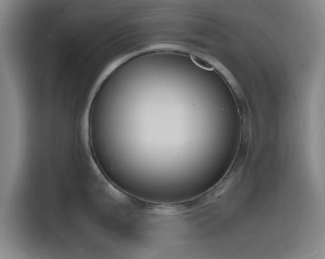 X0000116141199200911231305