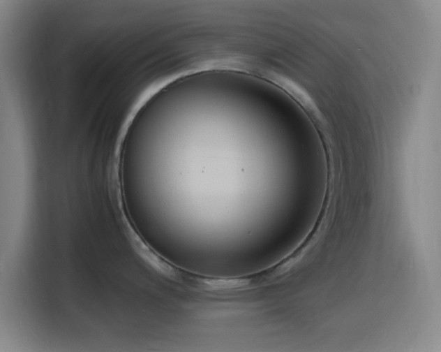 X0000116141200200911231305
