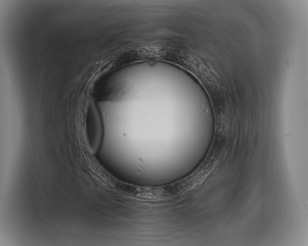 X0000116141201200911231304
