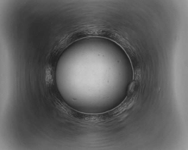 X0000116141202200911231304