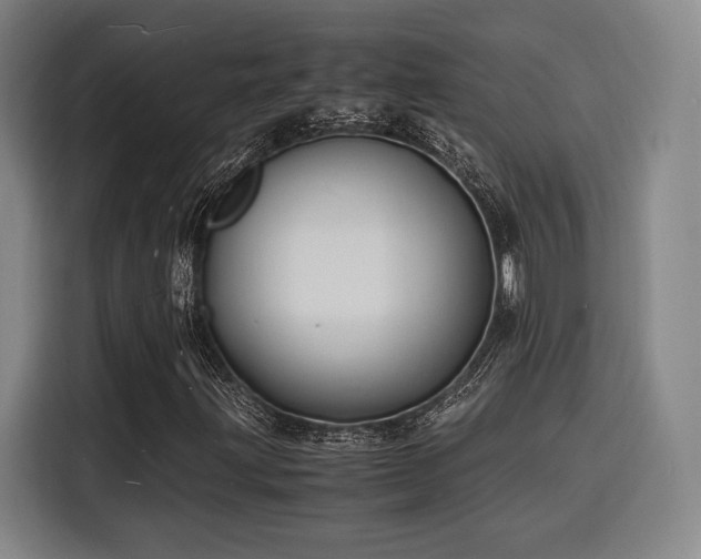 X0000116141203200911231304