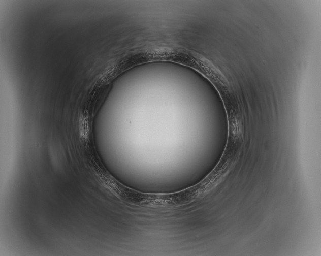 X0000116141204200911231304