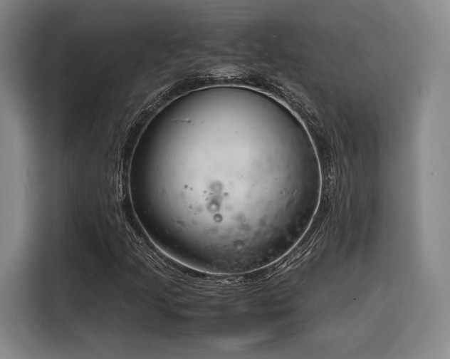 X0000116141205200911231304