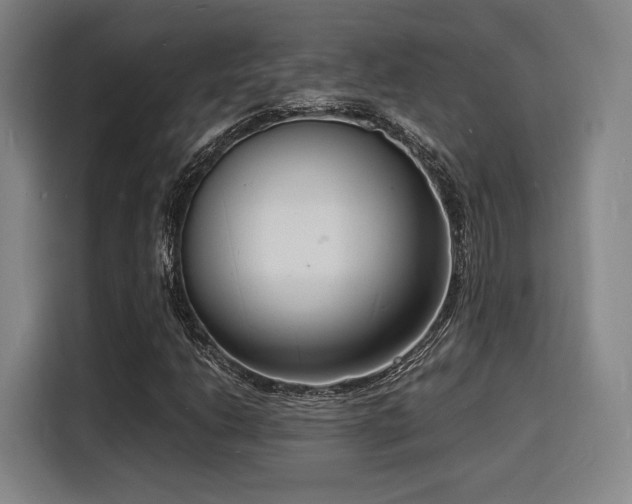 X0000116141206200911231304
