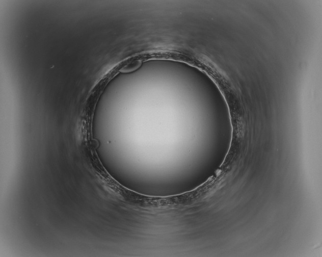 X0000116141208200911231304