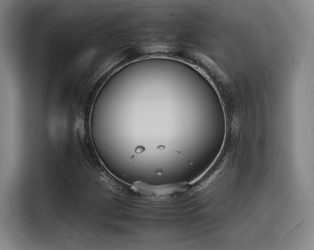 X0000116141209200911231304
