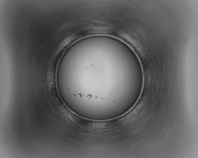 X0000116141211200911231304