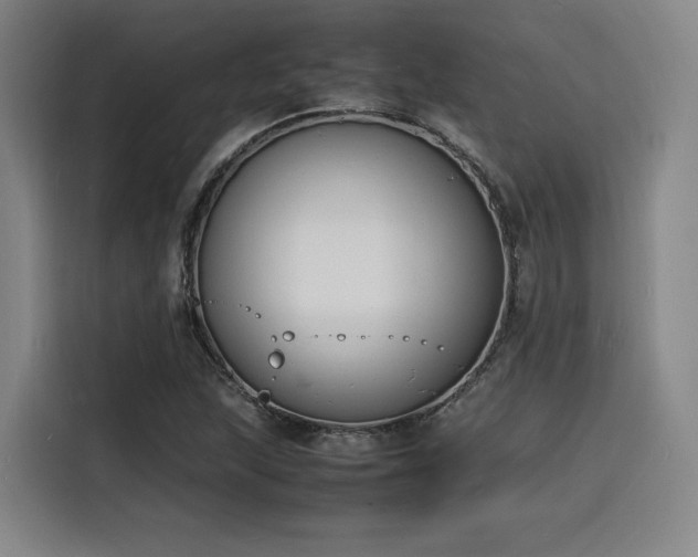 X0000116141215200911231304