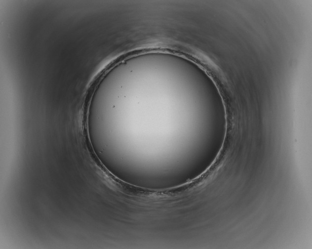 X0000116141216200911231304