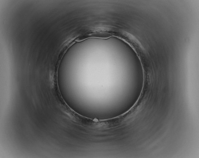 X0000116141217200911231304