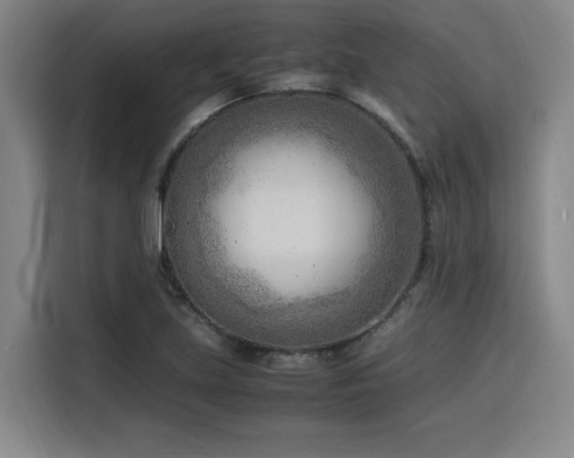 X0000116141219200911231304