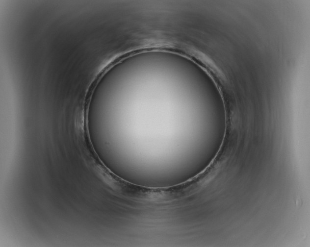 X0000116141220200911231304