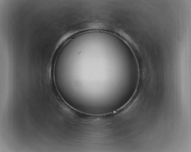 X0000116141222200911231304