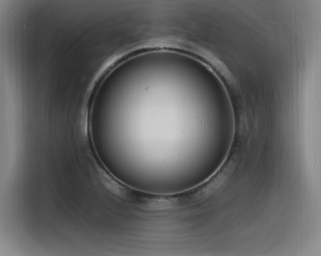 X0000116141224200911231304