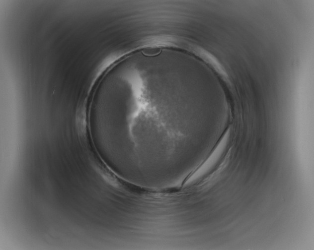 X0000116141226200911231304