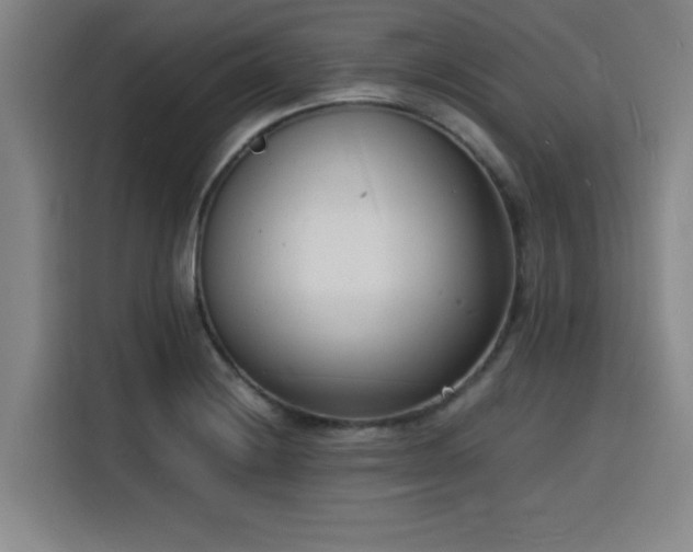 X0000116141228200911231304