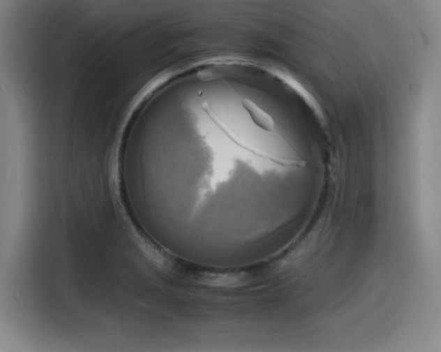 X0000116141229200911231304