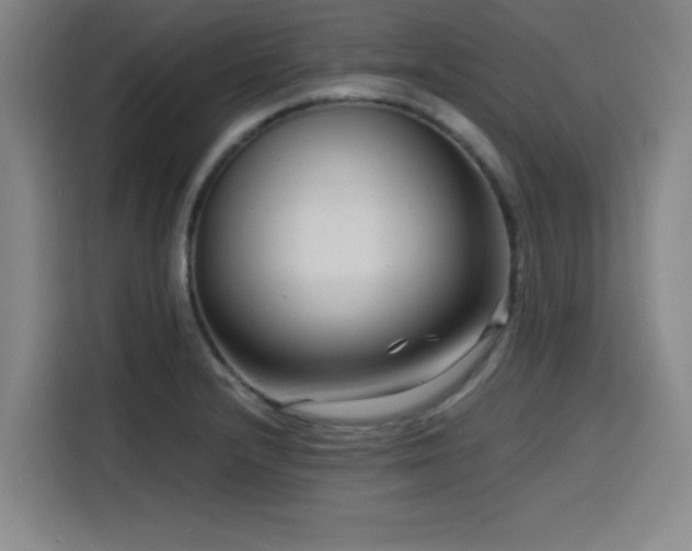X0000116141232200911231304