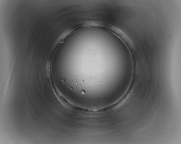 X0000116141233200911231304