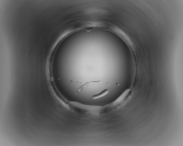 X0000116141235200911231304