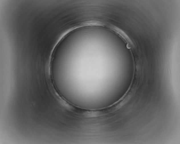 X0000116141236200911231304