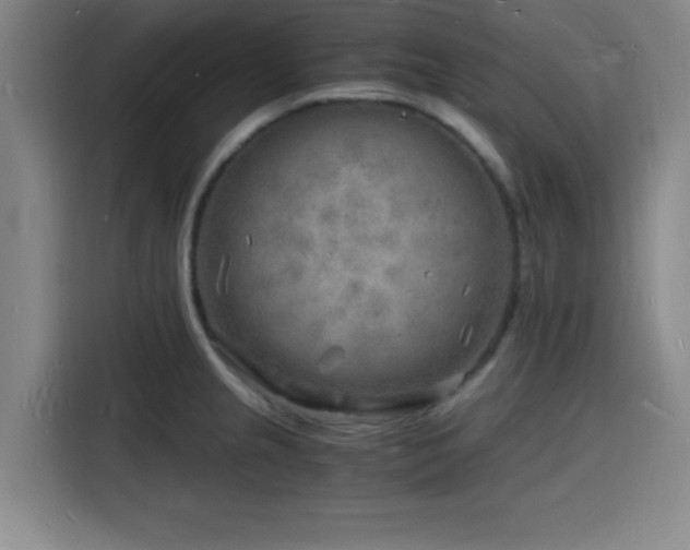 X0000116141237200911231304