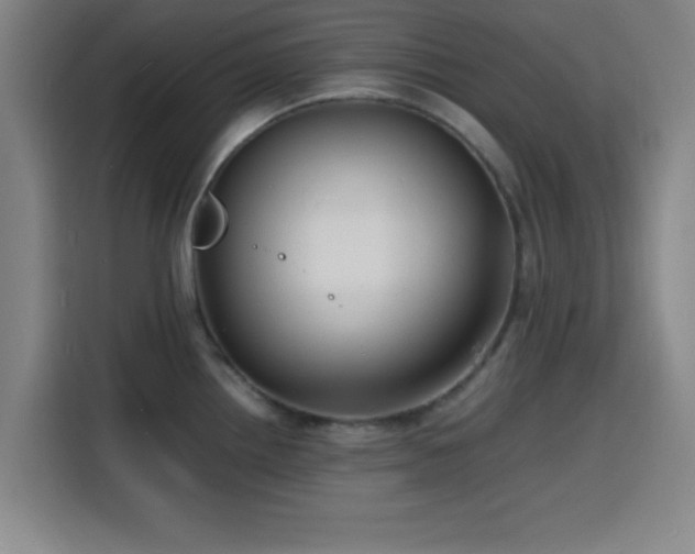 X0000116141242200911231304