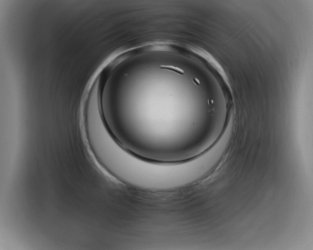 X0000116141243200911231304