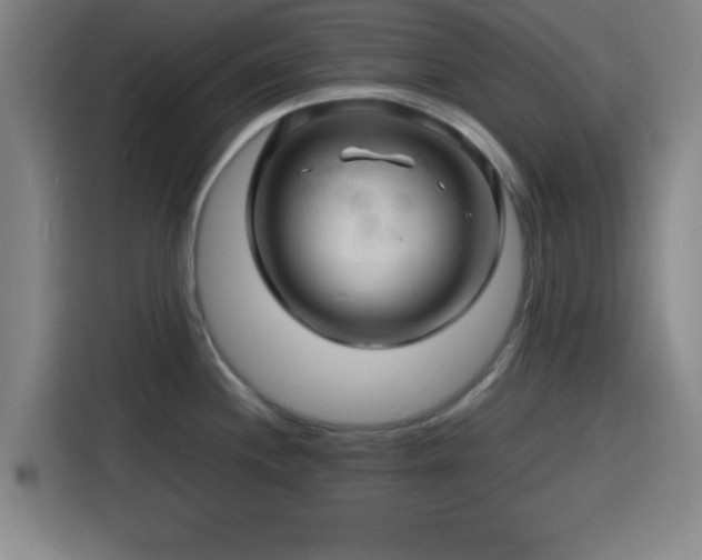 X0000116141244200911231304
