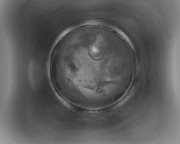 X0000116141245200911231304