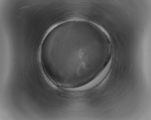 X0000116141246200911231304
