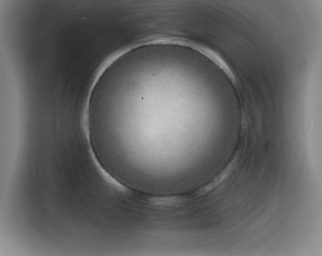 X0000116141247200911231304