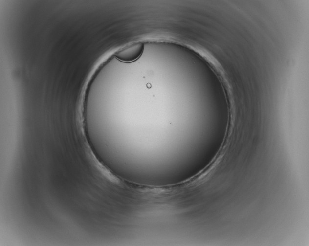 X0000116141248200911231305