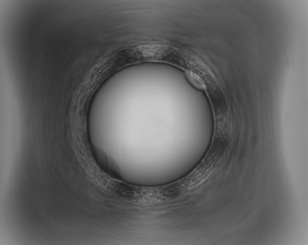 X0000116141249200911231304