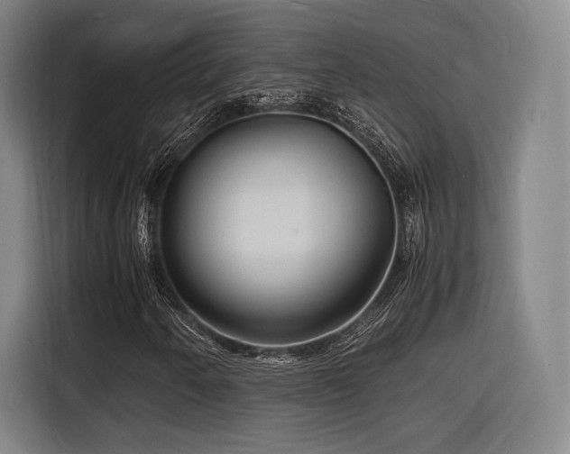 X0000116141250200911231304