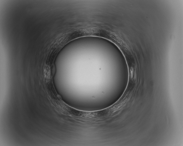 X0000116141251200911231304