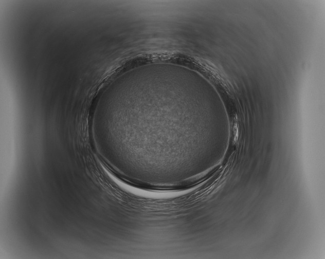 X0000116141252200911231304