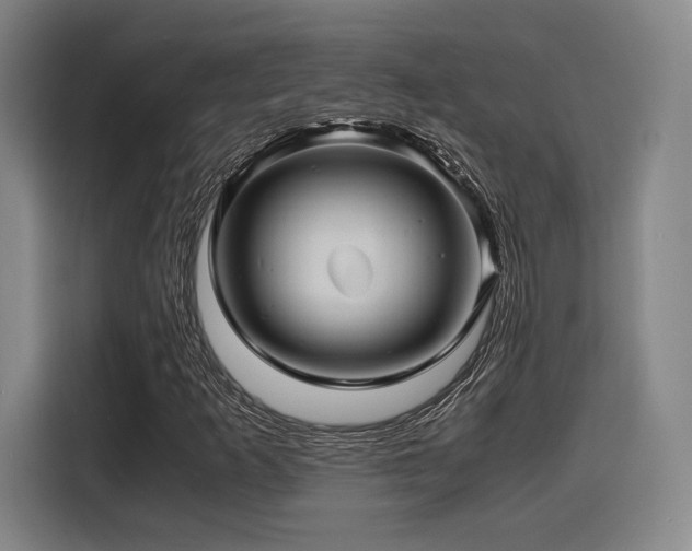 X0000116141253200911231304