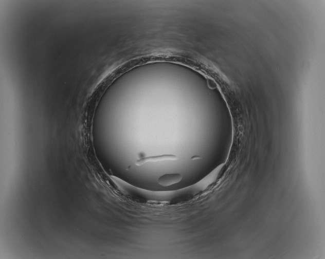 X0000116141256200911231304