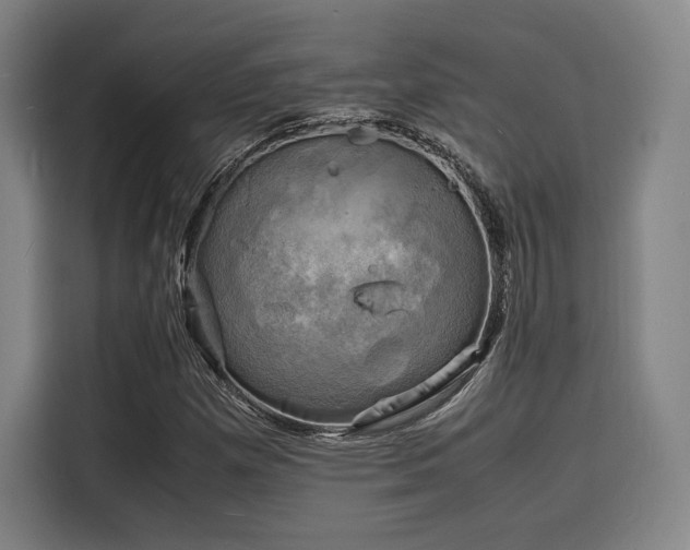 X0000116141257200911231304