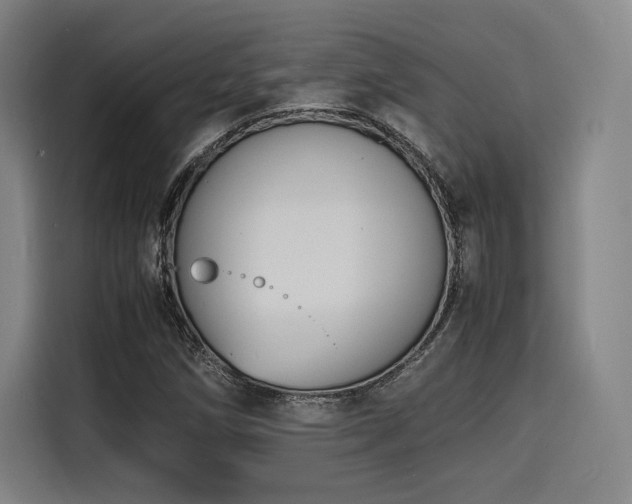 X0000116141258200911231304