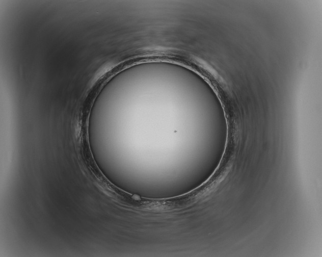 X0000116141259200911231304
