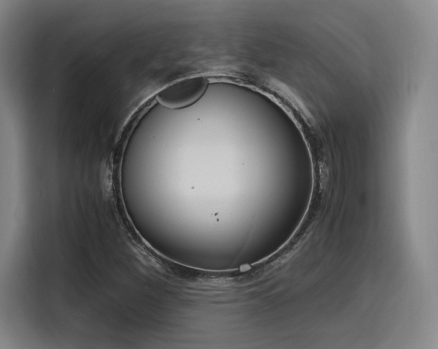 X0000116141260200911231304