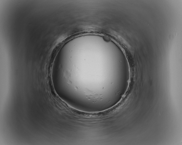 X0000116141261200911231304