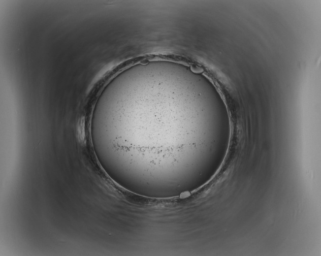X0000116141262200911231304