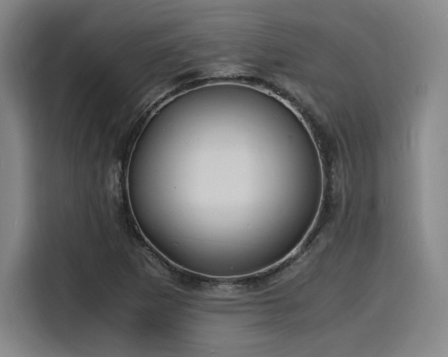 X0000116141265200911231304