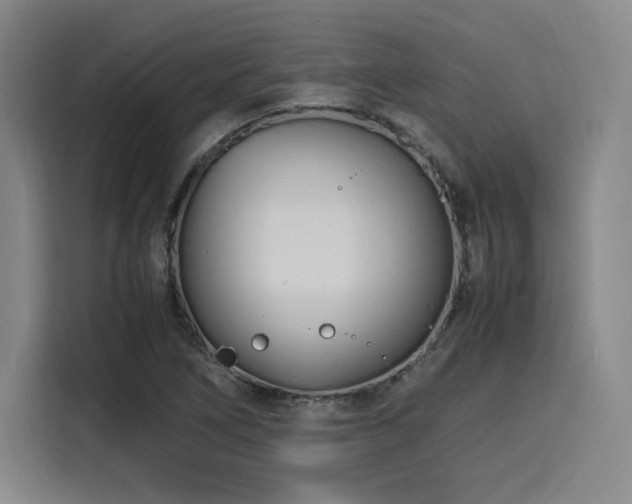 X0000116141266200911231304