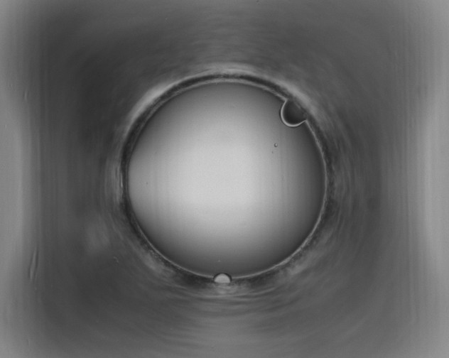 X0000116141271200911231304