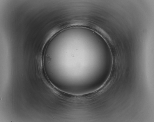 X0000116141274200911231304
